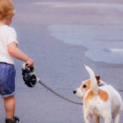 Long-line Walking – Teach Your Dog to Go Your Way